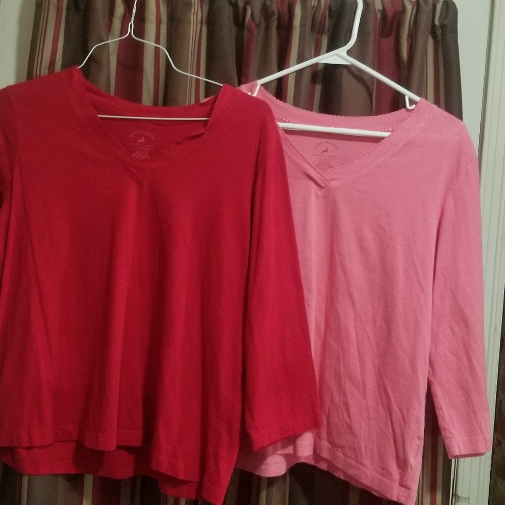 🎀 LOT 🎀 of 2 tops. Womens.